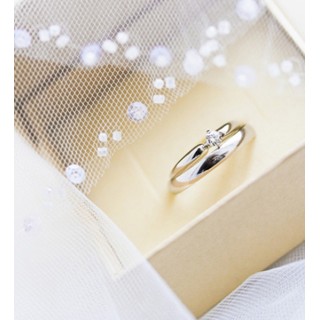 Hummingbird printed t-shirt