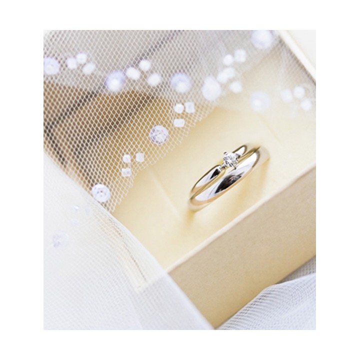 Hummingbird printed t-shirt