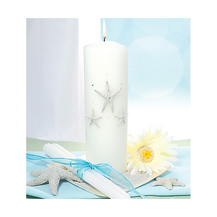 Mountain fox notebook